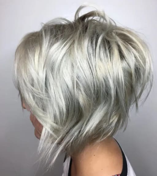 Silver-White Shaggy Hair