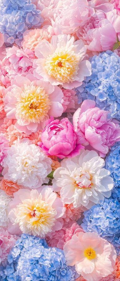 A romantic pastel floral wallpaper featuring pink peonies, blue hydrangeas, and soft white and yellow flowers.