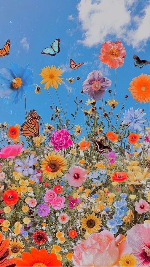 A bright wallpaper of a wildflower meadow filled with colorful blooms and butterflies, set against a vivid blue sky.