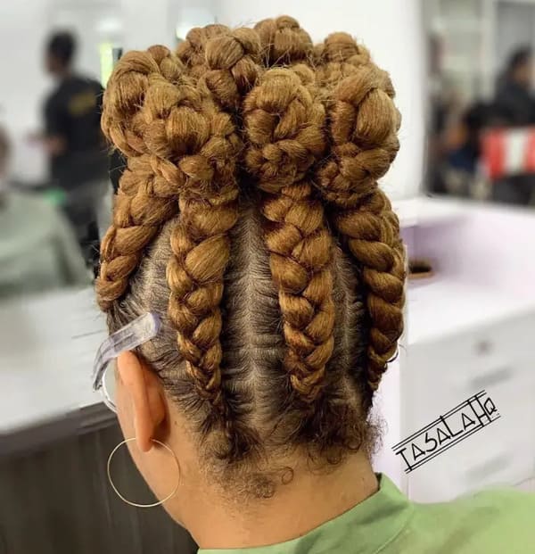 Regal Braided Crown Updo